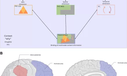 Researchers Explore Why We Remember Certain Things and Not Others