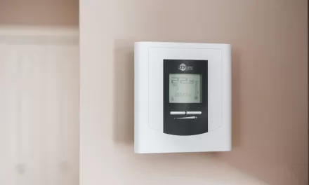 The Office Thermostat Debate: Why Temperature Preferences Differ and How They Impact Us