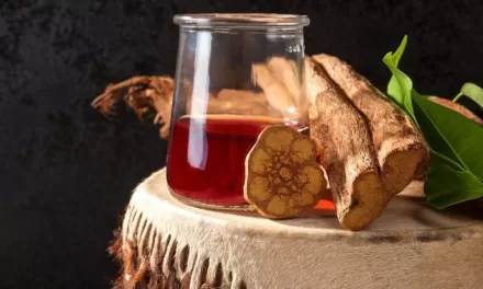 Ayahuasca: A Plant-Based Brew Offers New Hope for Treating Trauma and Anxiety Disorders