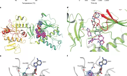 New Class of Antivirals Could Help Prevent Future Pandemics