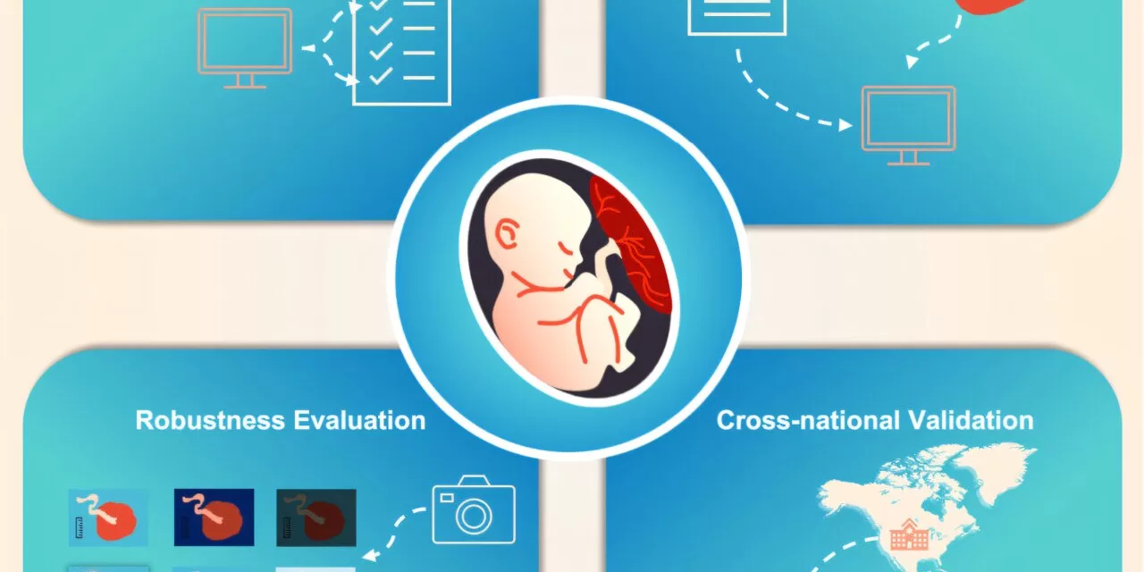 AI Tool Analyzes Placentas at Birth, Enhancing Maternal and Neonatal Care