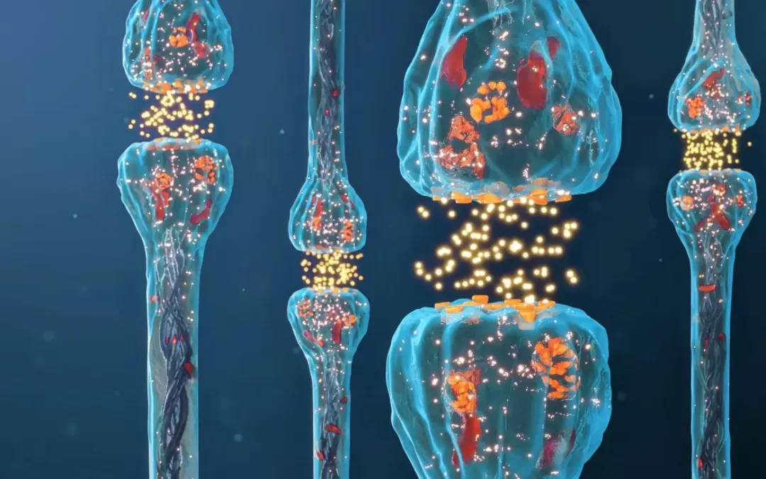 Beyond the Needle: Lab-Grown “Mini-Brains” Replicate Human Pain Pathway, Signaling New Era for Chronic Pain Relief