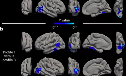 Three Psychological Profiles Could Determine the Evolution of Mental, Cognitive, and Brain Health in Aging