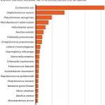 The 20 Most-Studied Bacteria: A Microbial Research Crisis