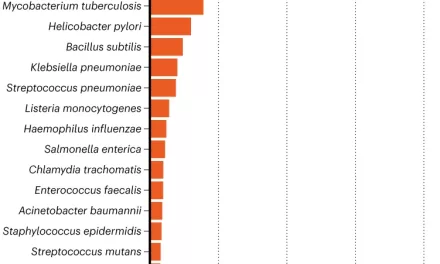 The 20 Most-Studied Bacteria: A Microbial Research Crisis