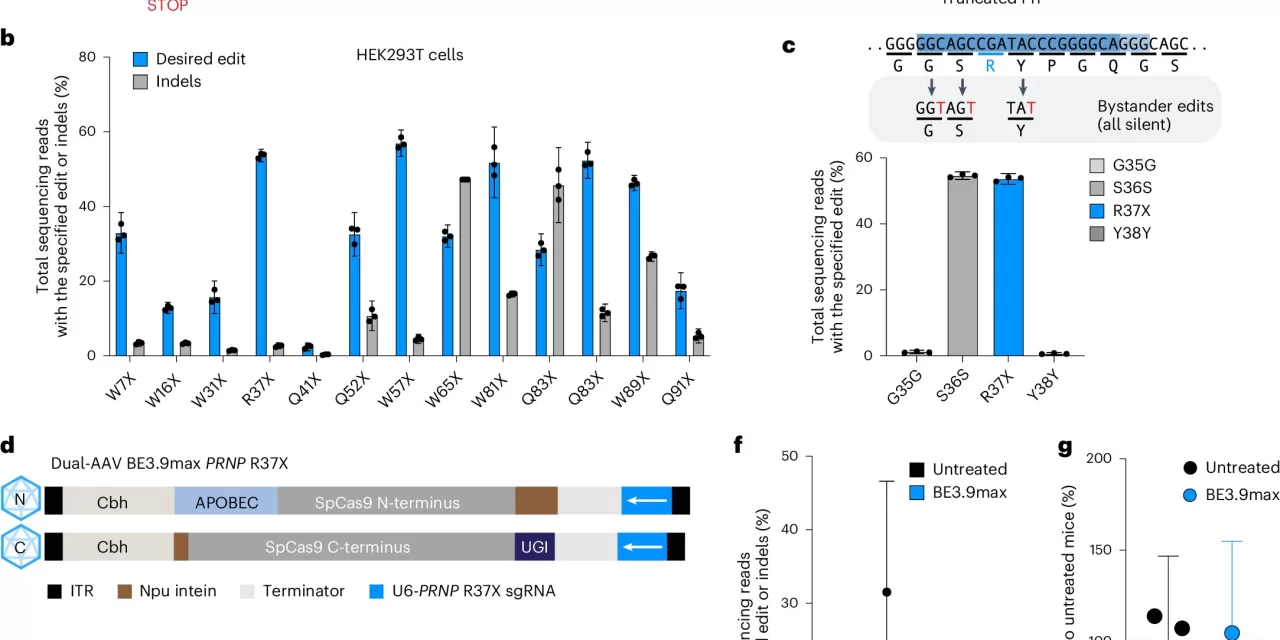 Gene Editing Extends Lifespan in Mouse Model of Prion Disease: A Breakthrough in Neurodegenerative Treatment