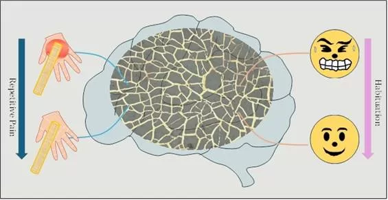 New system developed for wearable devices that can detect stress