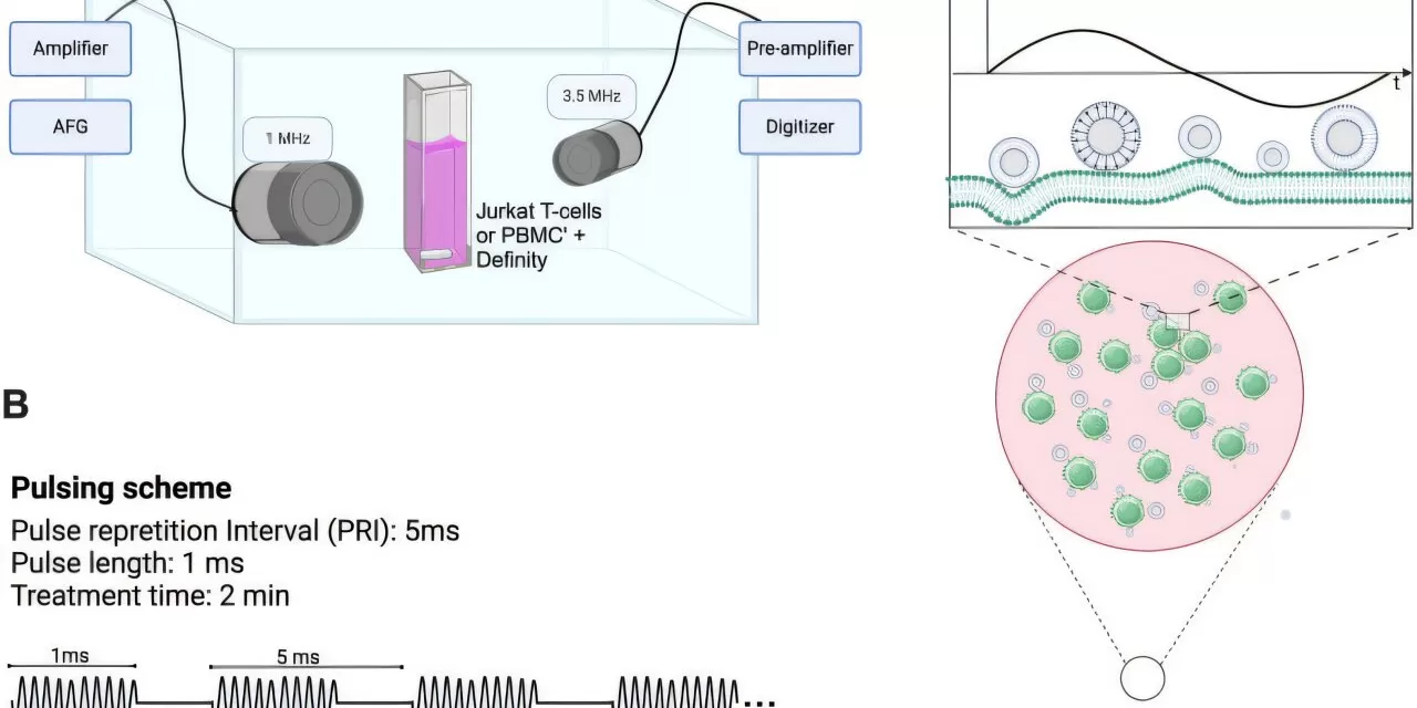 New Ultrasound-Directed Microbubbles Technique Boosts Immune Response Against Tumors