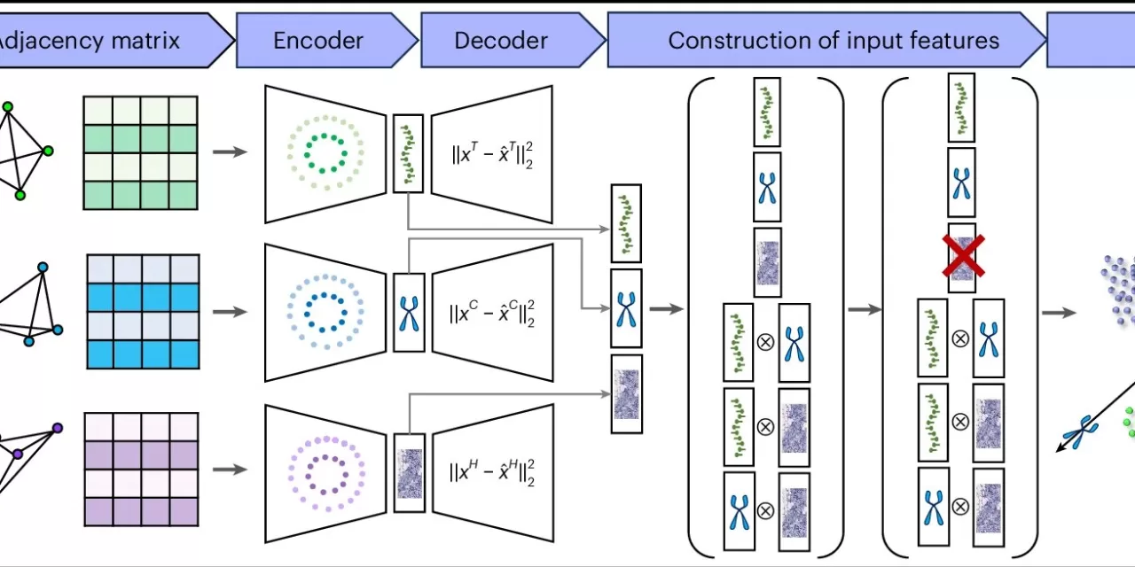 Revolutionary AI Tool MISO Analyzes 30,000 Data Points Per Pixel in Cancer Research