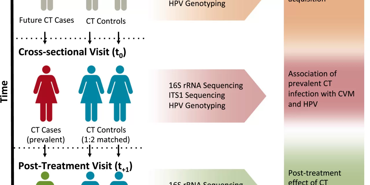 Changes in Microbiome Could Predict Risk for Sexually Transmitted Disease in Women