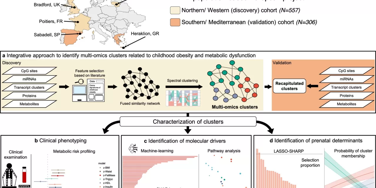 Cutting-Edge Blood Analysis Sheds Light on Biology and Risk Factors of Childhood Obesity