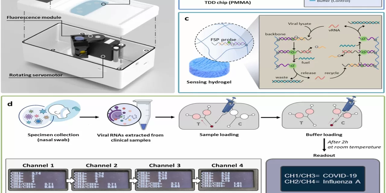 Scientists Develop New ‘Twindemic’ Diagnostic System for Rapid Viral Testing