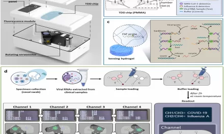 Scientists Develop New ‘Twindemic’ Diagnostic System for Rapid Viral Testing