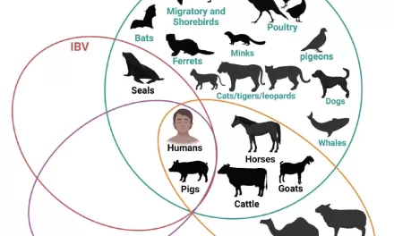 Bird Flu Mutating Rapidly but Antivirals Hold Strong, Say Researchers