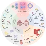 The Link Between Obesity and Cancer Risk: A Growing Concern