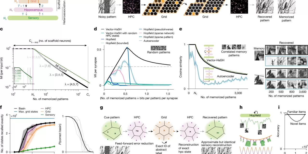 How One Brain Circuit Encodes Memories of Both Places and Events