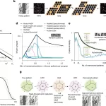 How One Brain Circuit Encodes Memories of Both Places and Events