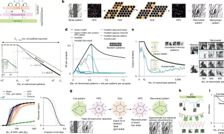 How One Brain Circuit Encodes Memories of Both Places and Events