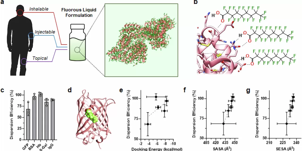 Revolutionary Discovery Could Eliminate Need for Refrigerating Vaccines and Protein-Based Drugs