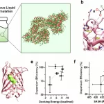 Revolutionary Discovery Could Eliminate Need for Refrigerating Vaccines and Protein-Based Drugs