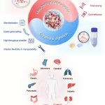 Unraveling the Impact of Solid Tumor Dissociation Methods on Cancer Research