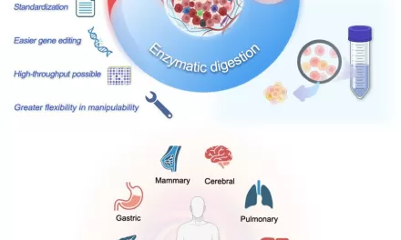 Unraveling the Impact of Solid Tumor Dissociation Methods on Cancer Research