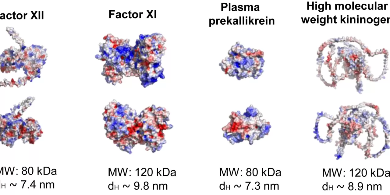 Sepsis Molecule Discovery Could Lead to Improved Treatments for Critically Ill Patients