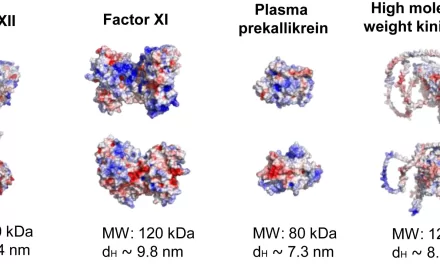 Sepsis Molecule Discovery Could Lead to Improved Treatments for Critically Ill Patients