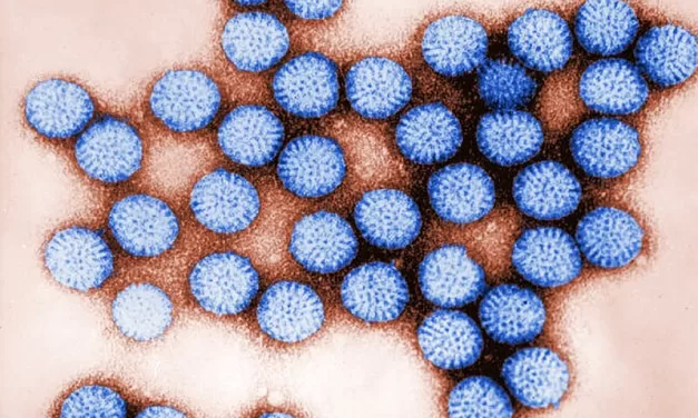 CDC Warns of Rising Rotavirus Cases as Declining Vaccination Rates Spark New Surge in Infants and Young Children