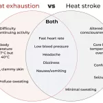 Heatstroke vs. Heat Exhaustion: Know the Difference 