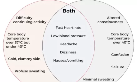 Heatstroke vs. Heat Exhaustion: Know the Difference 