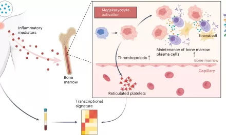 Blood Test Can Predict Vaccine Immunity Duration, Study Shows