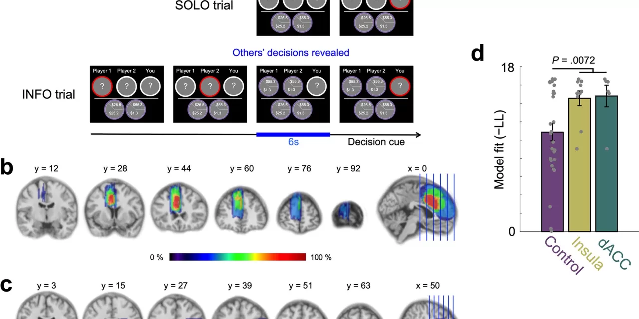 Brain Takes the Easy Route by Following the Crowd in Uncertain Situations