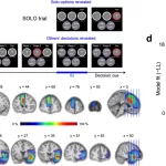 Brain Takes the Easy Route by Following the Crowd in Uncertain Situations