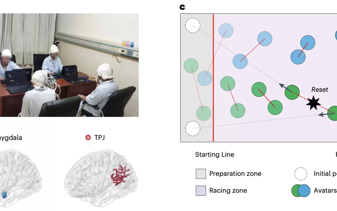 New Study Uncovers Neural Roots of Human Cooperation