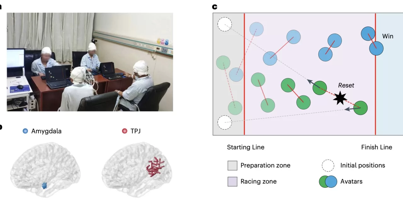 New Study Uncovers Neural Roots of Human Cooperation