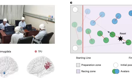 New Study Uncovers Neural Roots of Human Cooperation