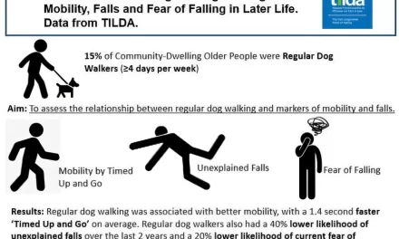 Regular Dog Walking Improves Mobility, Reduces Falls in Older Adults