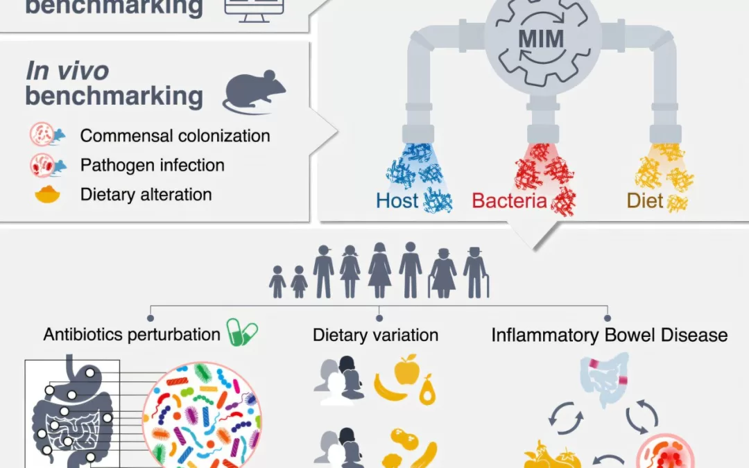 Intestinal “Confessions”: New Method Reveals Hidden Truths About Our Health