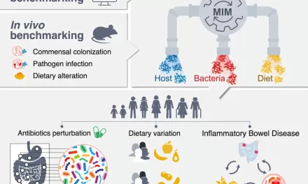 Intestinal “Confessions”: New Method Reveals Hidden Truths About Our Health