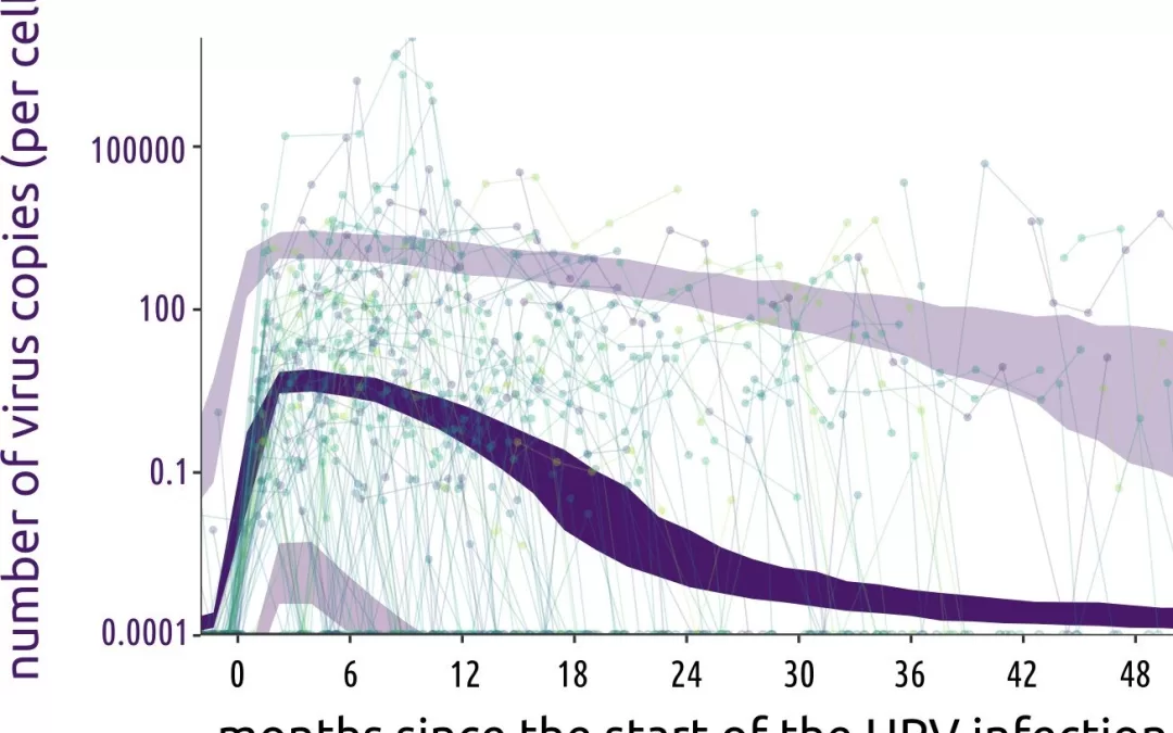 Study Sheds Light on the Dynamics of HPV Infections