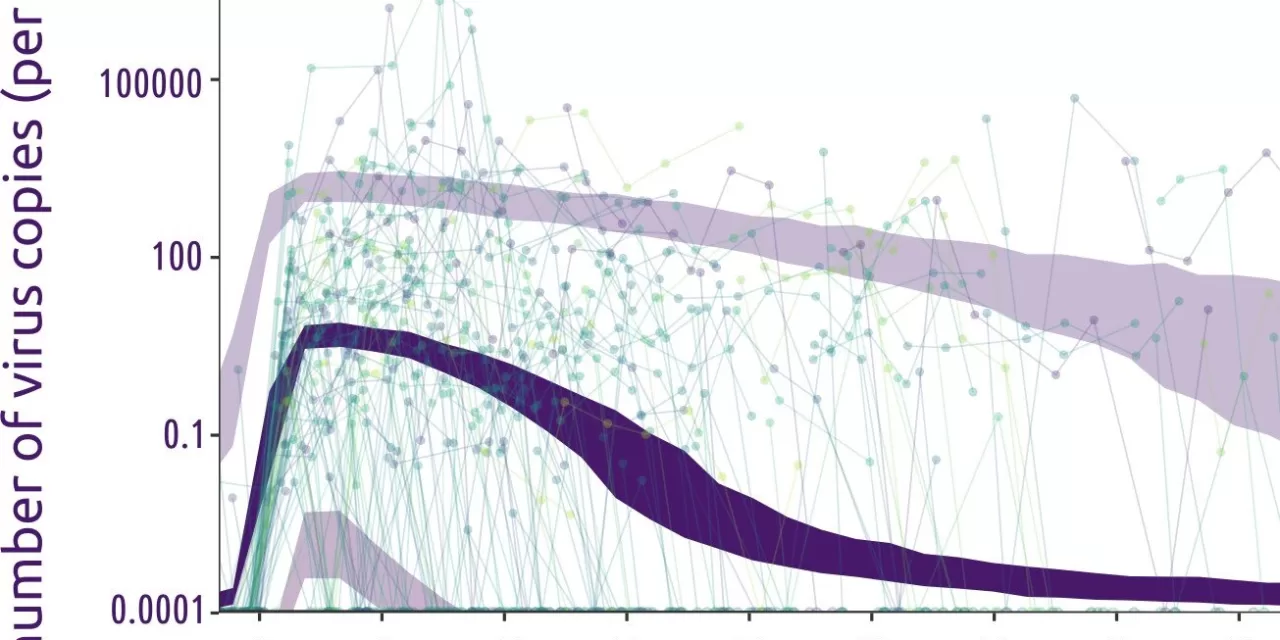 Study Sheds Light on the Dynamics of HPV Infections