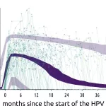 Study Sheds Light on the Dynamics of HPV Infections