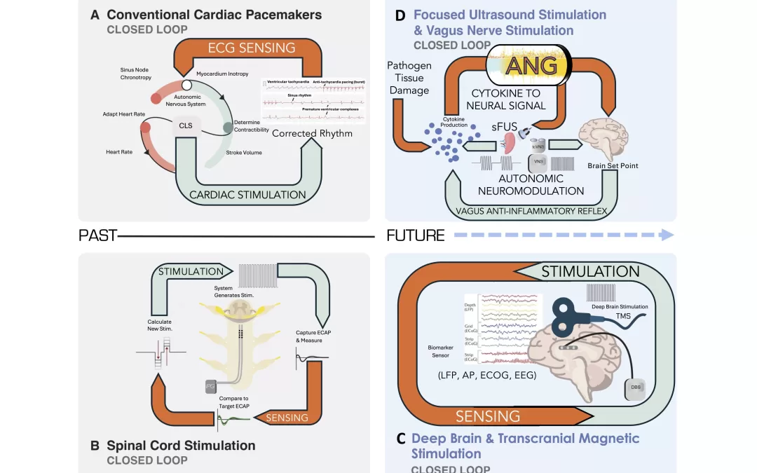 Bioelectronic Medicine: A Roadmap to the Future