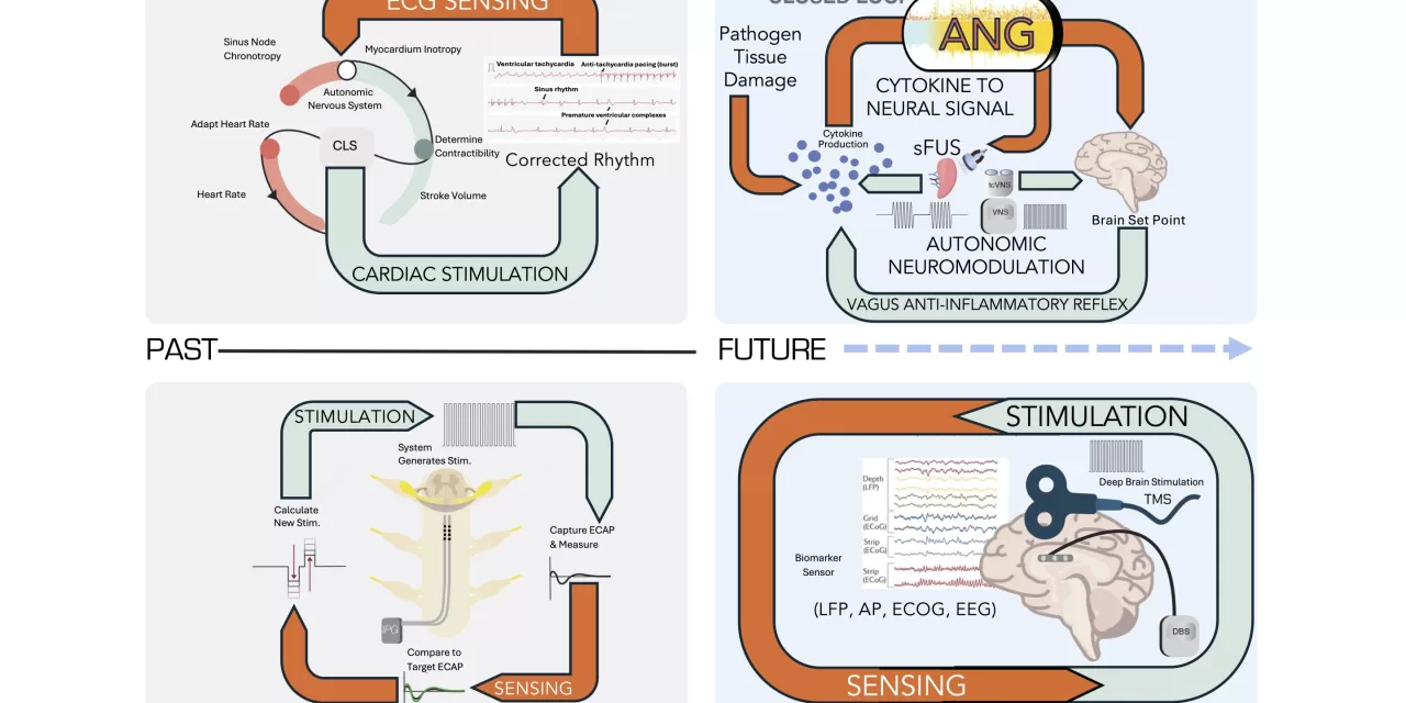 Bioelectronic Medicine: A Roadmap to the Future