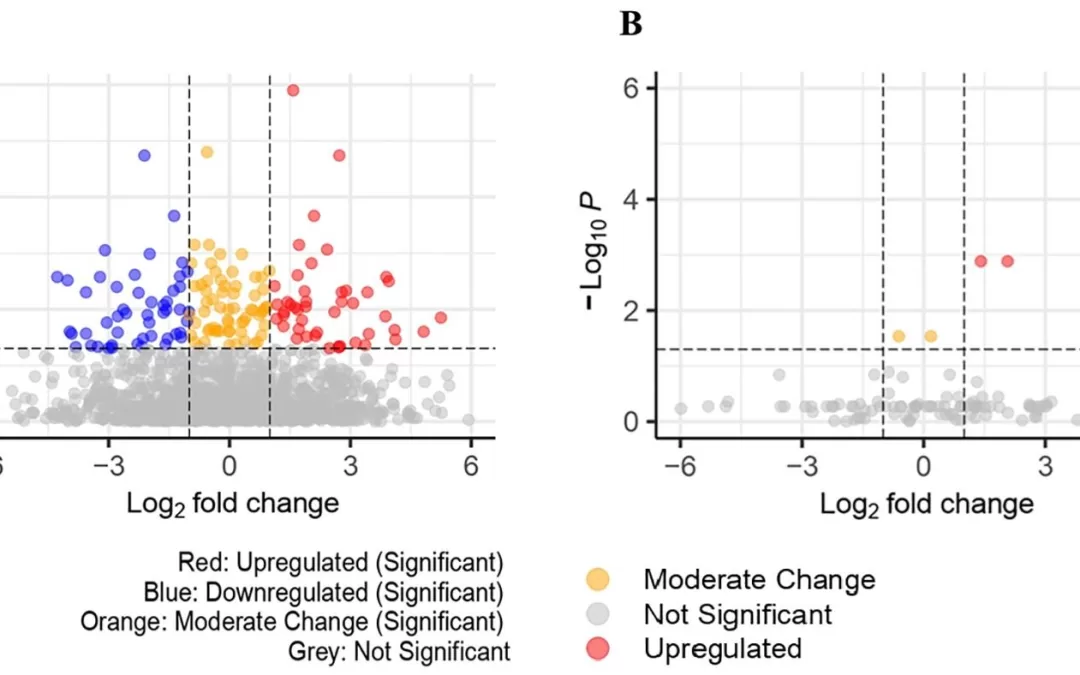 AI Uncovers New Biomarkers for Colorectal Cancer Detection