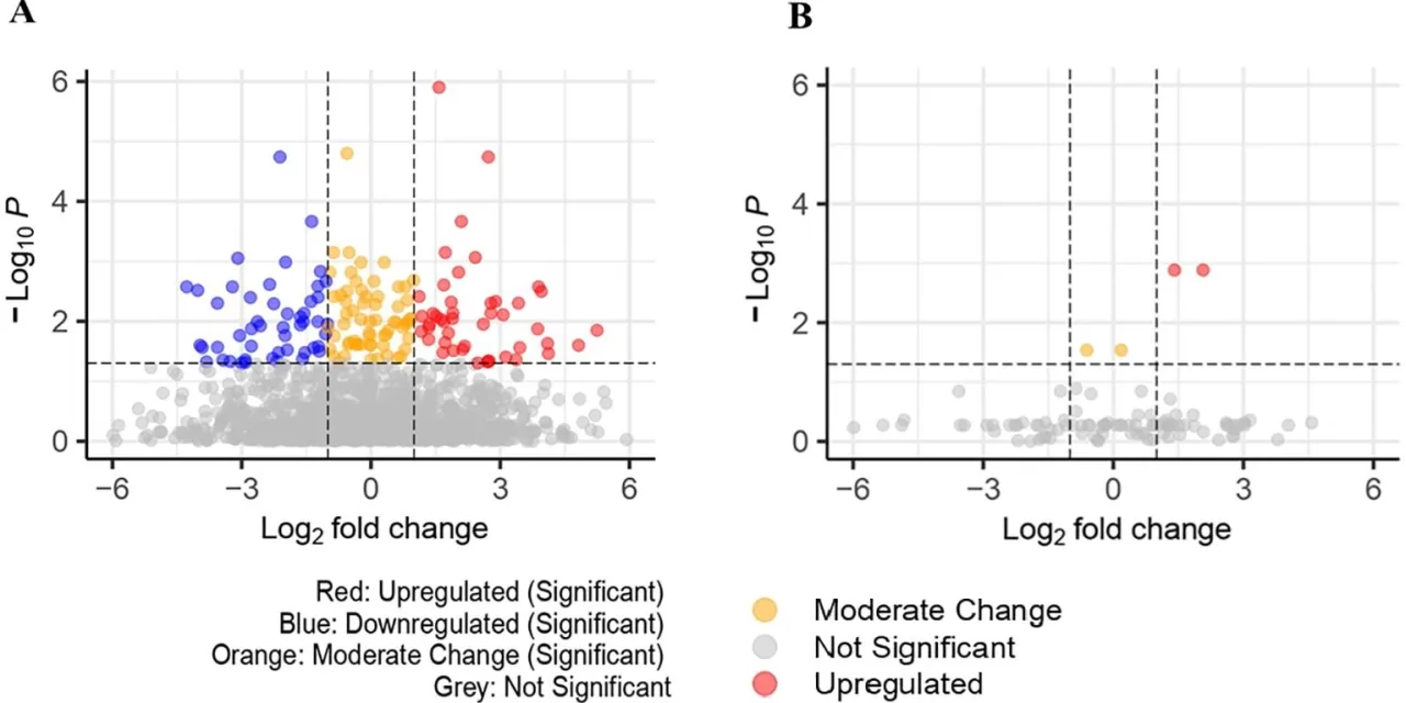 AI Uncovers New Biomarkers for Colorectal Cancer Detection