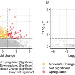 AI Uncovers New Biomarkers for Colorectal Cancer Detection