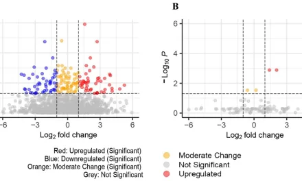 AI Uncovers New Biomarkers for Colorectal Cancer Detection