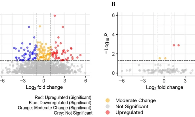 AI Uncovers New Biomarkers for Colorectal Cancer Detection